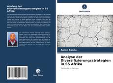 Capa do livro de Analyse der Diversifizierungsstrategien in SS Afrika 