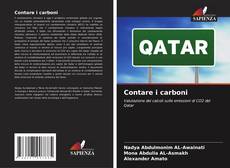 Buchcover von Contare i carboni