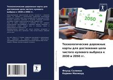 Технологические дорожные карты для достижения цели чистого нулевого выброса к 2030 и 2050 гг. kitap kapağı