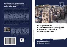 Copertina di Исторические известковые штукатурки в Индии - состав и характеристика