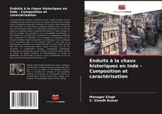 Capa do livro de Enduits à la chaux historiques en Inde - Composition et caractérisation 