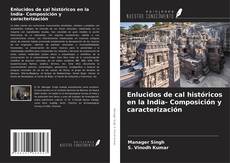 Couverture de Enlucidos de cal históricos en la India- Composición y caracterización