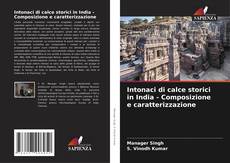 Intonaci di calce storici in India - Composizione e caratterizzazione kitap kapağı