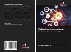 Buchcover von Fluidodinamica complessa: