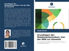 Capa do livro de Grundlagen der Molekulartechniken: Von der DNA zur Genomik 