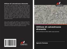 Buchcover von Utilizzo di calcestruzzo drenante