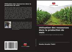 Capa do livro de Utilisation des ressources dans la production de maïs 