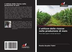 L'utilizzo delle risorse nella produzione di mais kitap kapağı