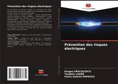 Prévention des risques électriques kitap kapağı