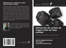 Buchcover von Utilización de carbón de origen indio de baja calidad