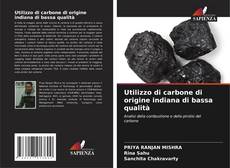 Utilizzo di carbone di origine indiana di bassa qualità kitap kapağı