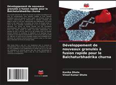 Buchcover von Développement de nouveaux granulés à fusion rapide pour le Balchaturbhadrika churna