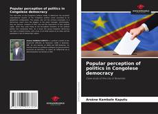 Couverture de Popular perception of politics in Congolese democracy