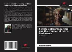 Borítókép a  Female entrepreneurship and the creation of micro-businesses - hoz