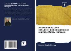 Capa do livro de Анализ NEAZDP в сельском водоснабжении в штате Йобе, Нигерия 