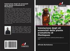 Buchcover von Valutazione degli oli essenziali delle piante aromatiche di Montepuez