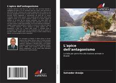 Buchcover von L'apice dell'antagonismo