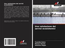 Una valutazione dei servizi ecosistemici kitap kapağı