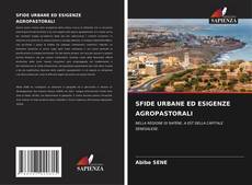 Buchcover von SFIDE URBANE ED ESIGENZE AGROPASTORALI