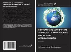 Couverture de CONTRATOS DE SERVIDUMBRE TERRITORIAL Y FORMACIÓN DE UNA BASE DE GEOINFORMACIÓN