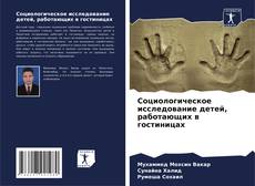 Portada del libro de Социологическое исследование детей, работающих в гостиницах