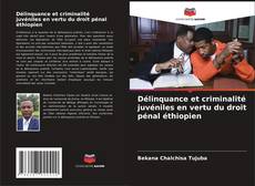 Portada del libro de Délinquance et criminalité juvéniles en vertu du droit pénal éthiopien