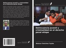 Couverture de Delincuencia juvenil y criminalidad en el derecho penal etíope