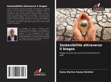 Sostenibilità attraverso il biogas kitap kapağı