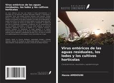 Couverture de Virus entéricos de las aguas residuales, los lodos y los cultivos hortícolas