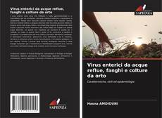 Capa do livro de Virus enterici da acque reflue, fanghi e colture da orto 