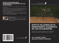 Couverture de EFECTO PALUDEEN EN EL RENDIMIENTO ACADÉMICO DE LOS ESTUDIANTES