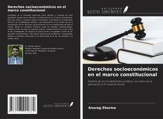 Couverture de Derechos socioeconómicos en el marco constitucional