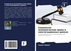 Buchcover von Социально-экономические права в конституционных рамках