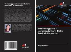 Capa do livro de Padroneggiare i semiconduttori: Dalle basi ai dispositivi 