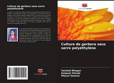 Culture de gerbera sous serre polyéthylène kitap kapağı