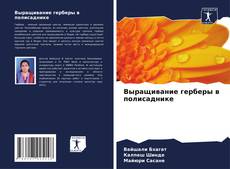 Buchcover von Выращивание герберы в полисаднике