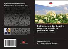 Optimisation des besoins en phosphore de la pomme de terre kitap kapağı