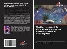 Buchcover von Gestione sostenibile delle acque meteoriche urbane a livello di sottocapitolo