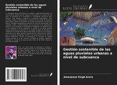 Couverture de Gestión sostenible de las aguas pluviales urbanas a nivel de subcuenca