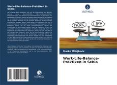 Capa do livro de Work-Life-Balance-Praktiken in Sebia 