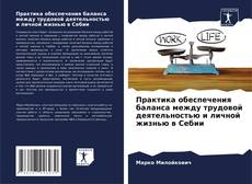 Buchcover von Практика обеспечения баланса между трудовой деятельностью и личной жизнью в Себии