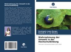 Capa do livro de Wahrnehmung der Umwelt in der Hochschulbildung 