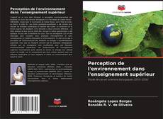 Perception de l'environnement dans l'enseignement supérieur kitap kapağı