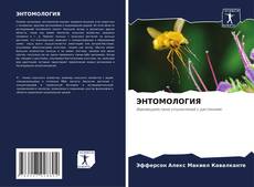 Capa do livro de ЭНТОМОЛОГИЯ 