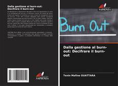 Dalla gestione al burn-out: Decifrare il burn-out kitap kapağı