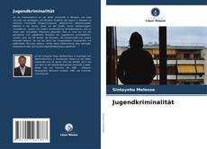 Capa do livro de Jugendkriminalität 