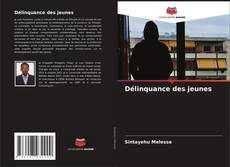 Délinquance des jeunes kitap kapağı