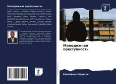 Portada del libro de Молодежная преступность