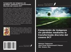 Couverture de Compresión de imágenes sin pérdidas mediante la transformada discreta del coseno DCT