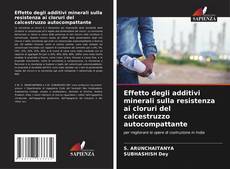 Effetto degli additivi minerali sulla resistenza ai cloruri del calcestruzzo autocompattante kitap kapağı